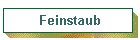 Feinstaub